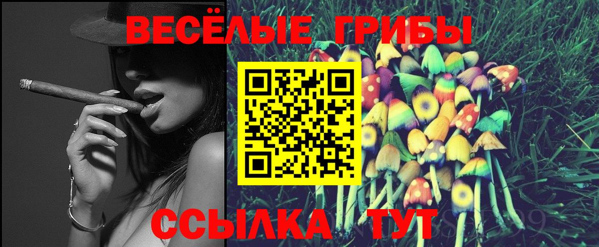 Псилоцибиновые грибы Psilocybe Губаха