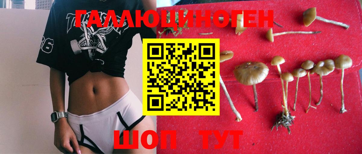Губаха  наркота  Вход с VPN  Галлюциногенные грибы Magic Shrooms 