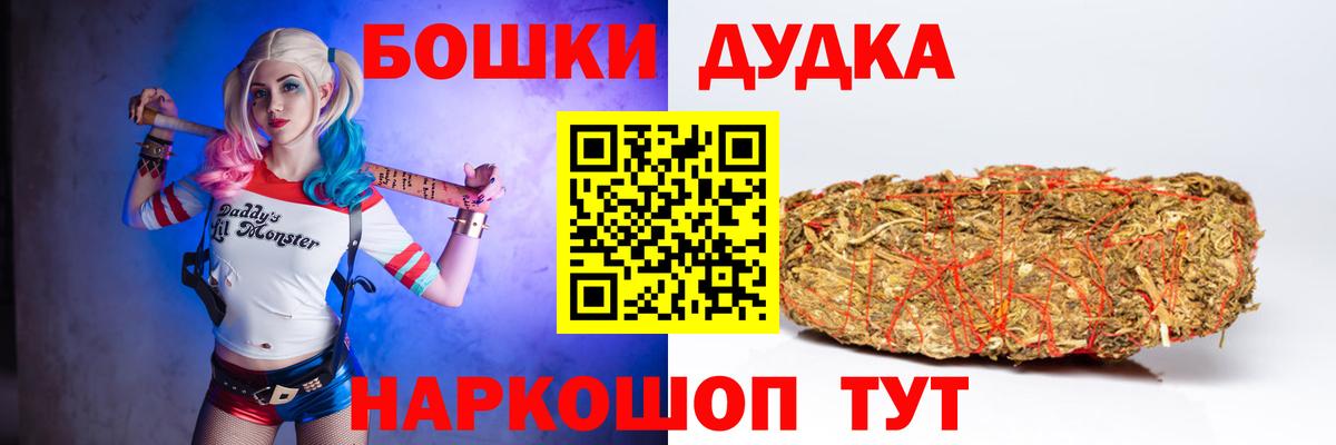Каннабис планчик Губаха